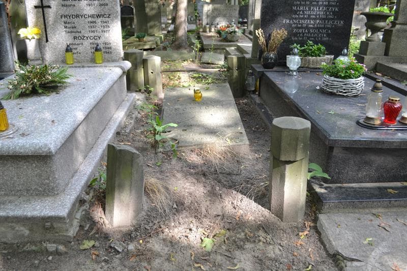 Zdjęcie grobu Władysław Nowicki (1)
