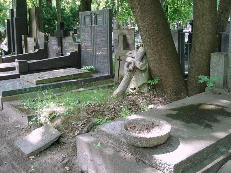 Zdjęcie grobu: ... Makowski