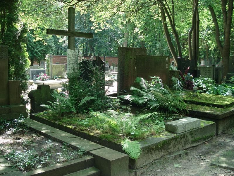Zdjęcie grobu Wiesław Maryański (1)
