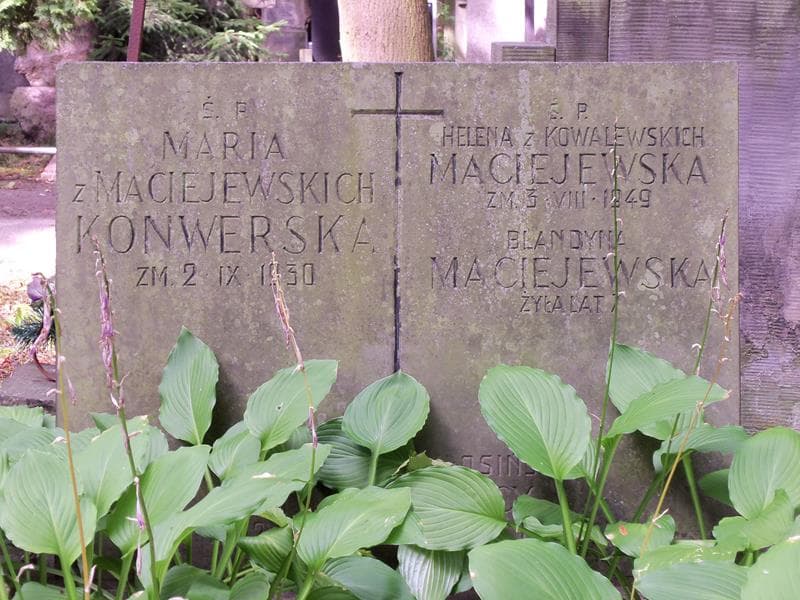 Zdjęcie grobu Julia Maciejewska (2)