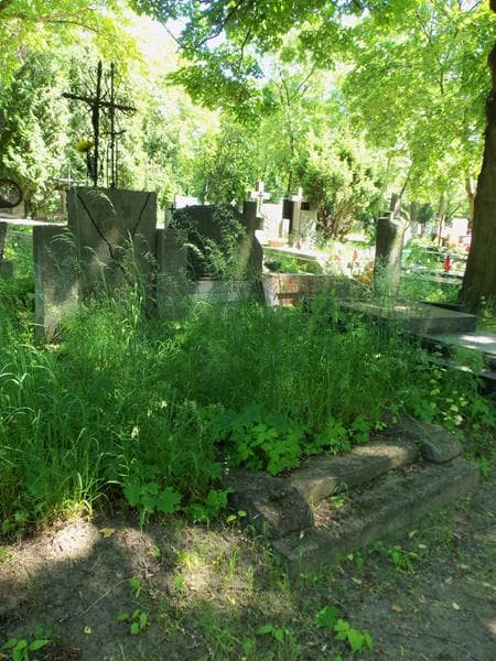 Zdjęcie grobu Emilia Benke (1)