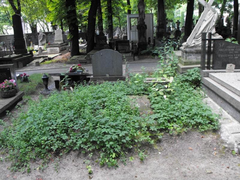 Zdjęcie grobu: Kajetan Duchnowski