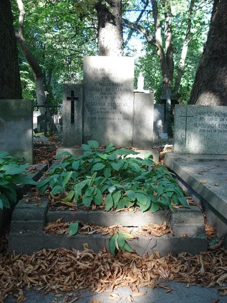 Zdjęcie grobu: Czesław Dudziński