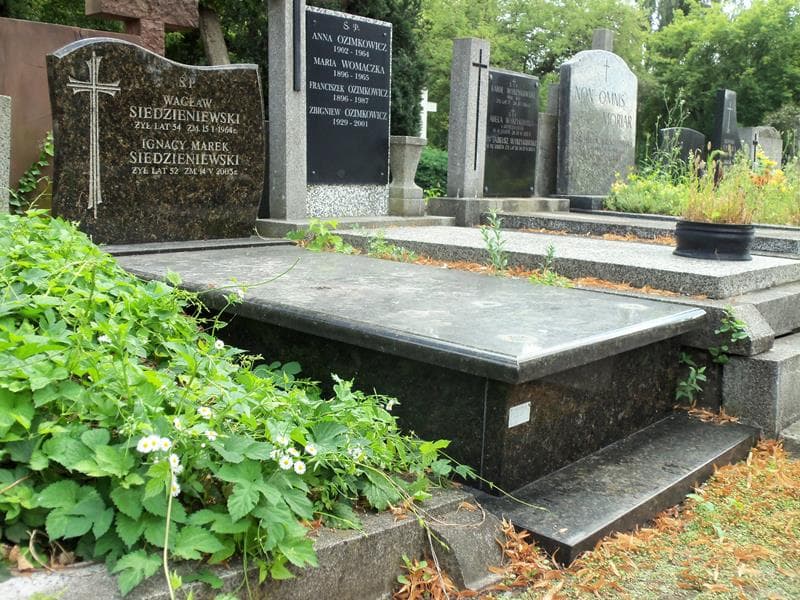 Zdjęcie grobu Ignacy Marek Siedzieniewski (1)