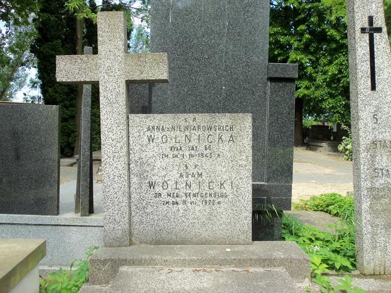 Zdjęcie grobu Anna Wolnicka (2)