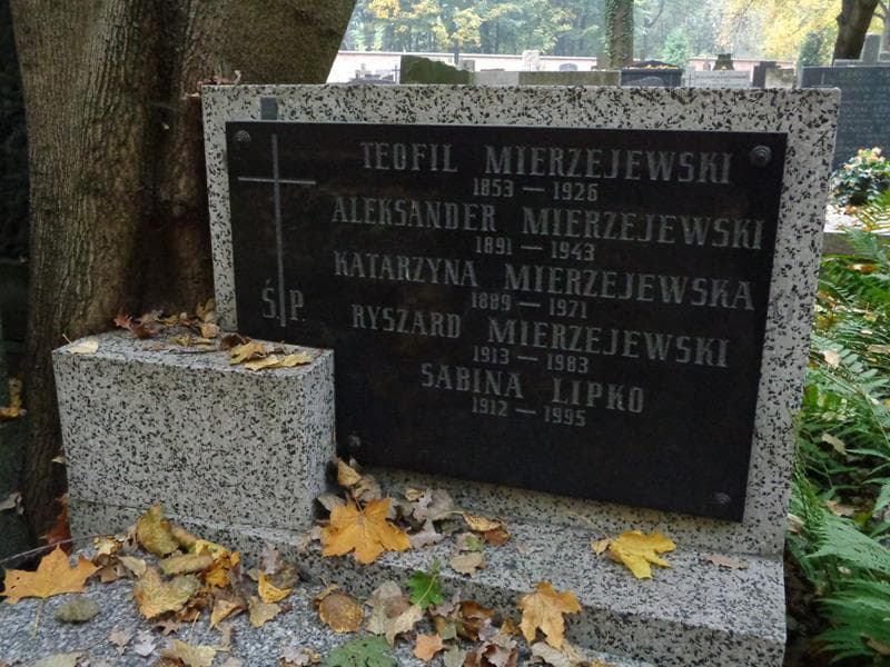 Zdjęcie grobu Sabina Lipko (2)