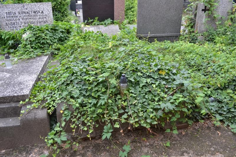 Zdjęcie grobu Józefa Kurowska (1)