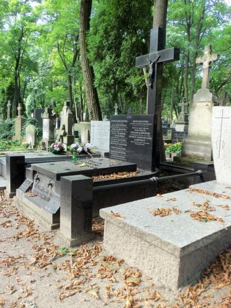 Zdjęcie grobu Julia Kobuszewska (1)