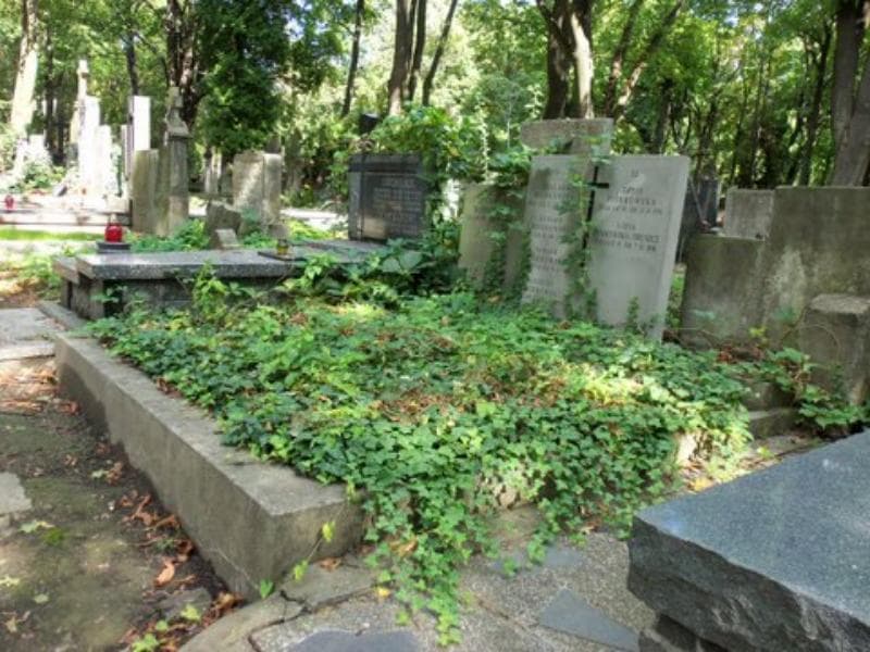 Zdjęcie grobu Edward Piórkowski (1)