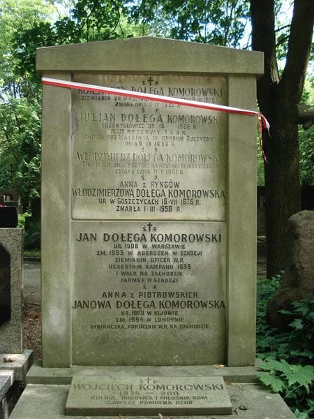 Zdjęcie grobu Julian Dołęga Komorowski (2)