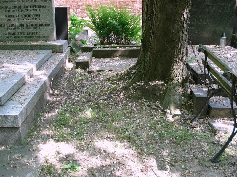 Zdjęcie grobu Pole Grobowe (1)