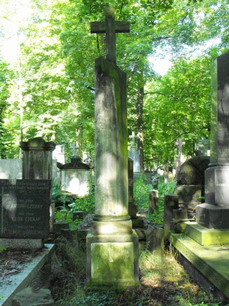 Zdjęcie grobu Aleksander Piasecki (1)
