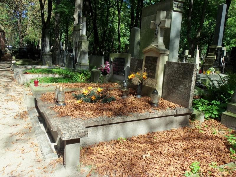 Zdjęcie grobu Amelia Topolska (1)