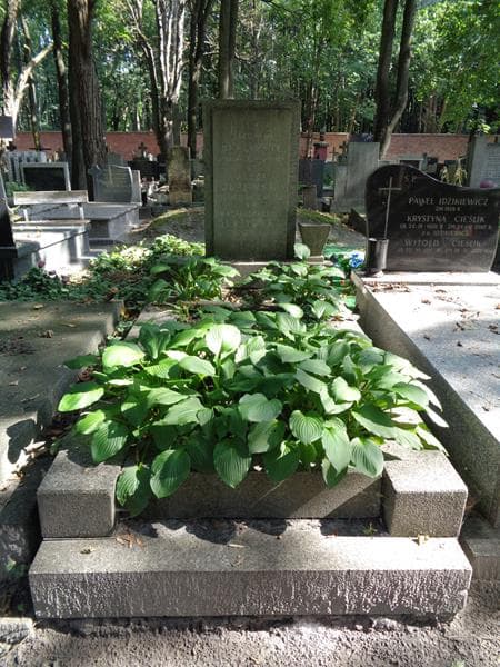 Zdjęcie grobu Józef Burzyński (1)