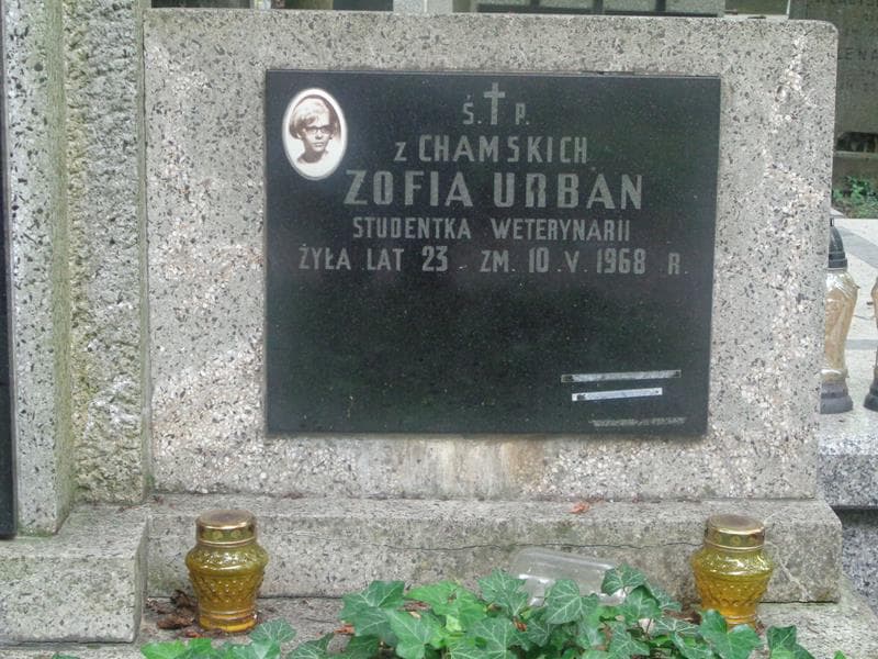 Zdjęcie grobu Zofia Urban (2)