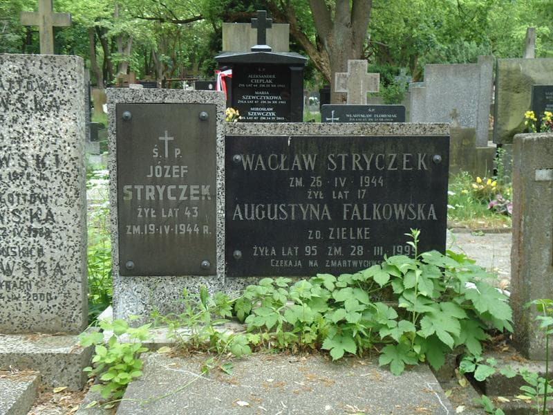 Zdjęcie grobu Józef Stryczek (2)