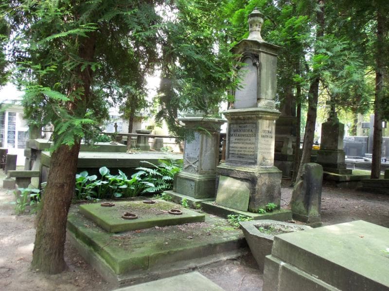 Zdjęcie grobu Aniela Kobylińska (1)