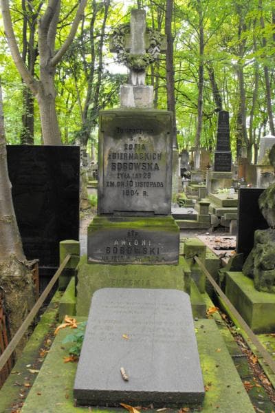 Zdjęcie grobu Antoni Bobowski (2)