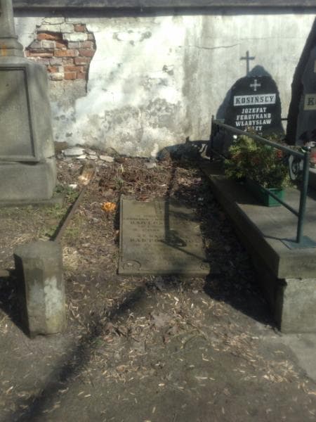 Zdjęcie grobu: Kazimierz Bartoszewicz