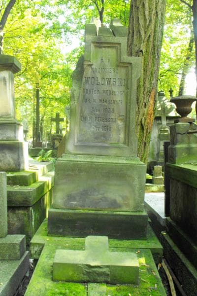 Zdjęcie grobu Kazimierz Wołowski (2)