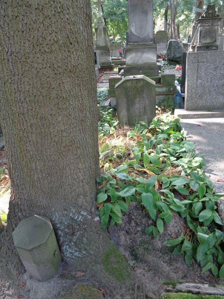 Zdjęcie grobu Mieczysław Jaworski (1)