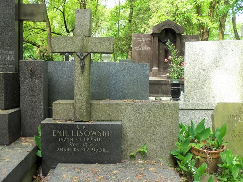 Zdjęcie grobu Emil Lisowski (2)