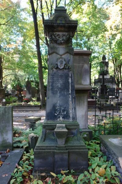 Zdjęcie grobu Walery Gomulicki (2)