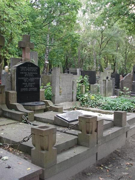 Zdjęcie grobu: Wacław Sękowski