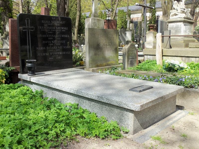 Zdjęcie grobu Juliusz Wyrzykowski (1)