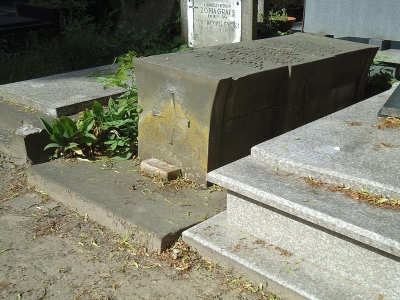 Zdjęcie grobu Aureli Drogoszewski (1)