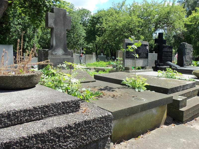 Zdjęcie grobu Jadwiga Herlaine Buszczyńska (1)