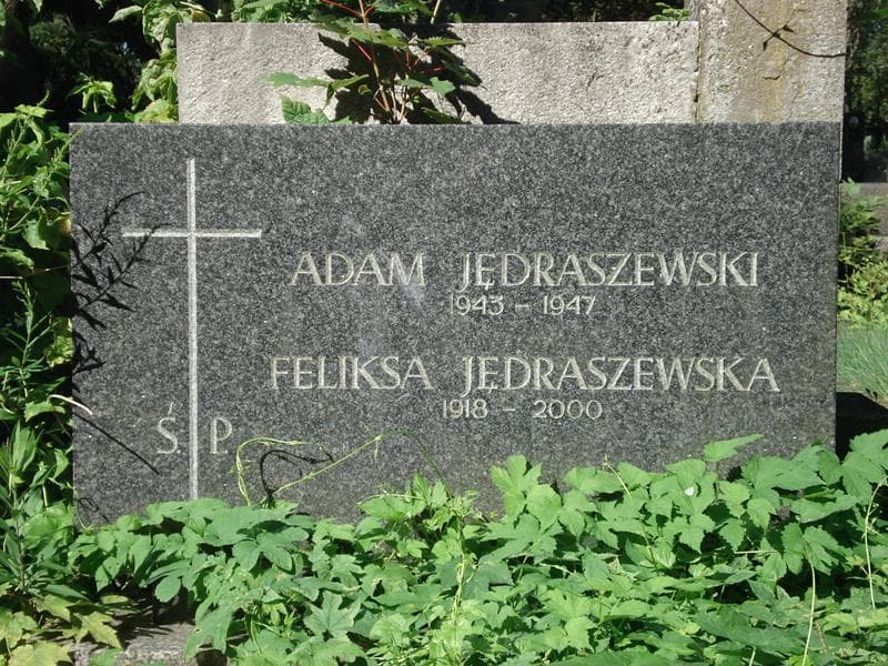 Zdjęcie grobu Adam Jędraszewski (2)