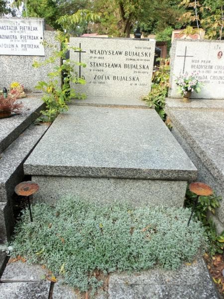 Zdjęcie grobu: Władysław Bujalski