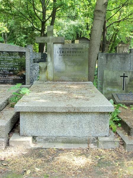 Zdjęcie grobu: Krystyna Lewandowska