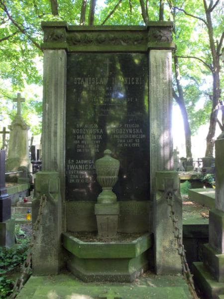 Zdjęcie grobu Stanisław Iwanicki (2)
