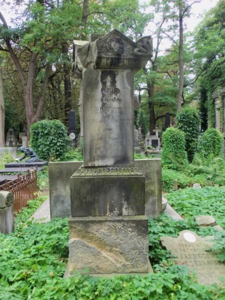 Zdjęcie grobu Karol Koeltz (2)