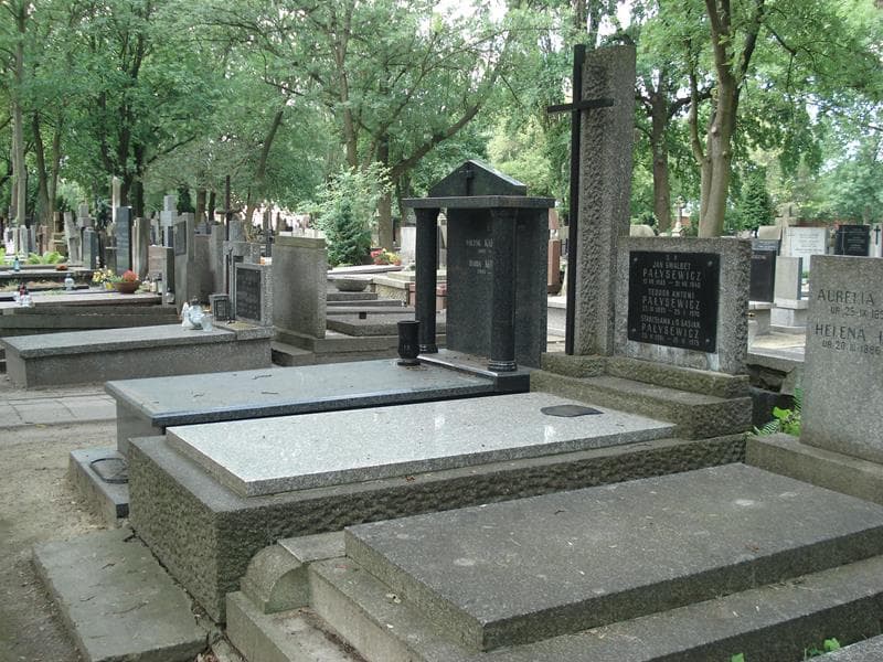 Zdjęcie grobu: Teodor Antoni Pałysewicz
