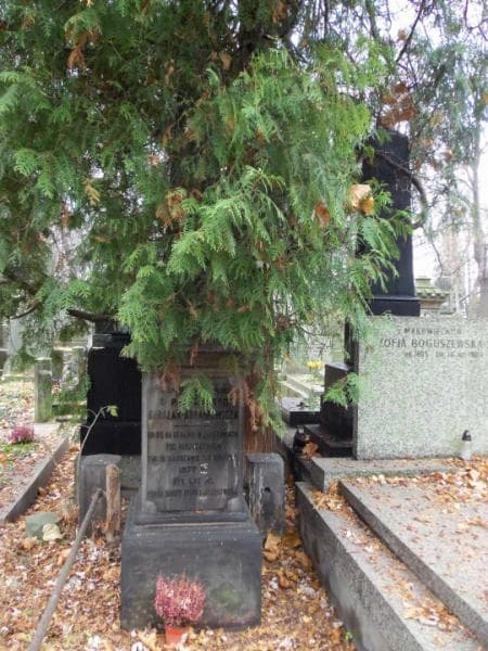 Zdjęcie grobu Cezary Burczak-Abramowicz (2)