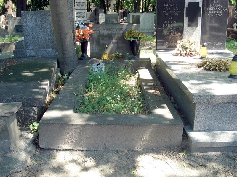 Zdjęcie grobu: Franciszek Lis-Jarnicki
