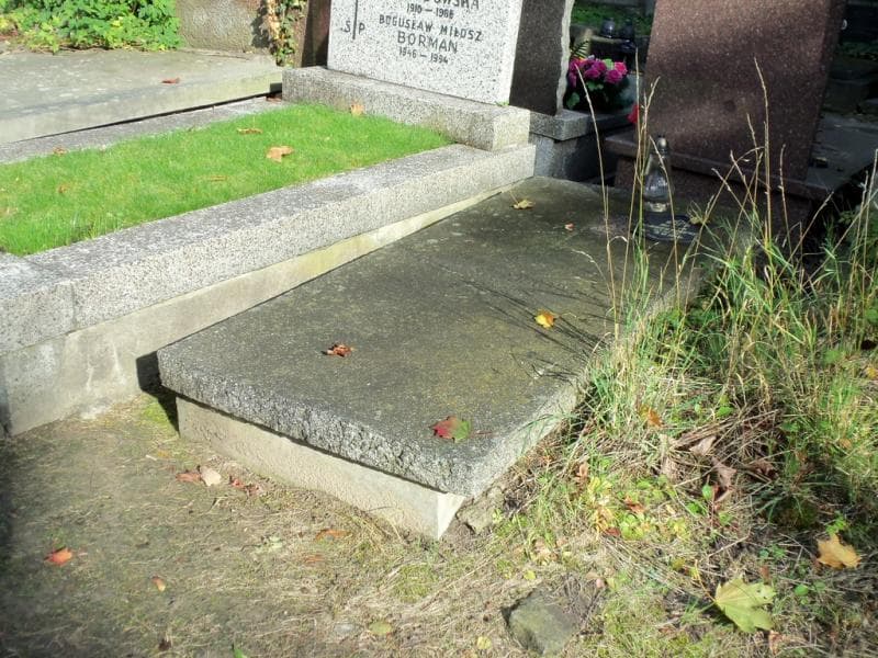 Zdjęcie grobu Józefa Stypułkowska (1)