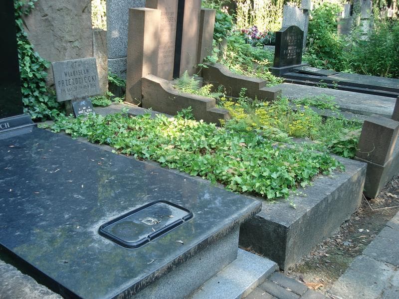 Zdjęcie grobu: Władysław Przeździecki