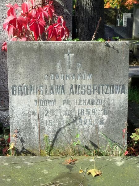 Zdjęcie grobu Józef Ausspitz (2)