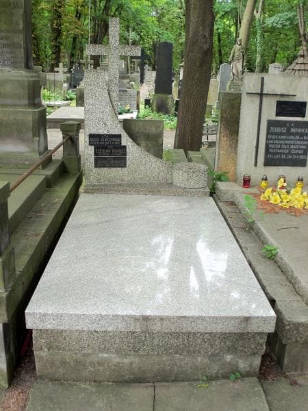 Zdjęcie grobu Czesław Domicz (1)