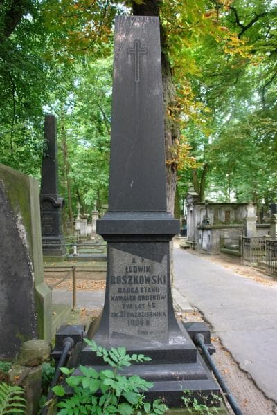 Zdjęcie grobu Ludwik Roszkowski (2)