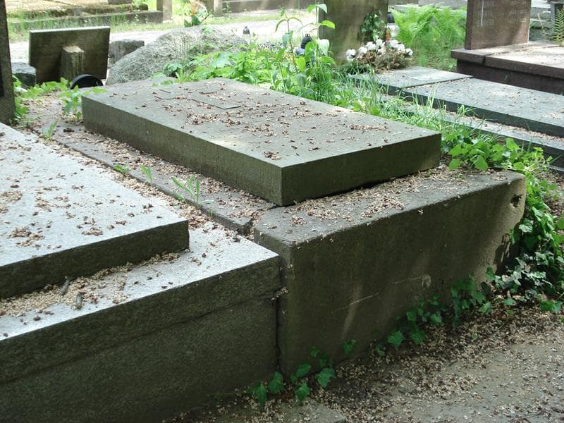 Zdjęcie grobu Maria Elwira Nałęcz-Skomorowska (1)