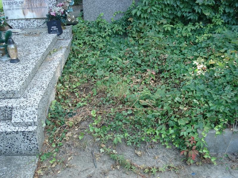 Zdjęcie grobu: Pole Grobowe