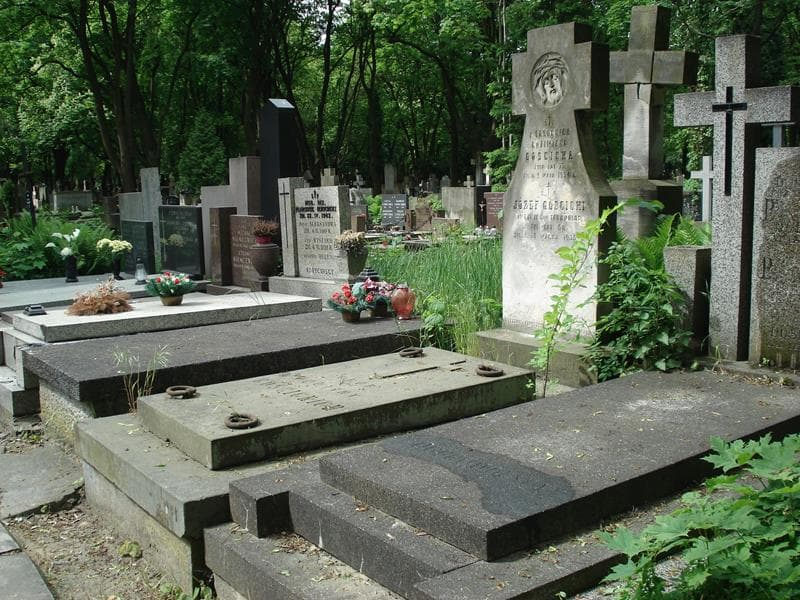 Zdjęcie grobu Józef Gościcki (1)