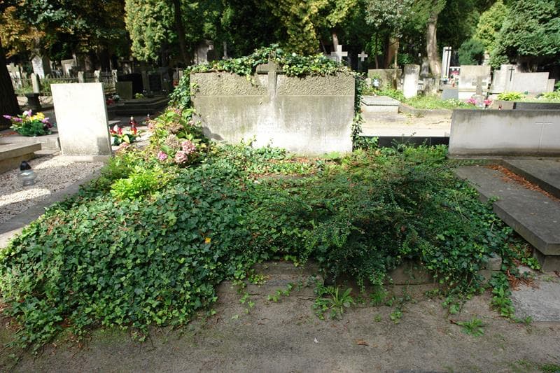 Zdjęcie grobu: Janusz Bożydar Daniewski