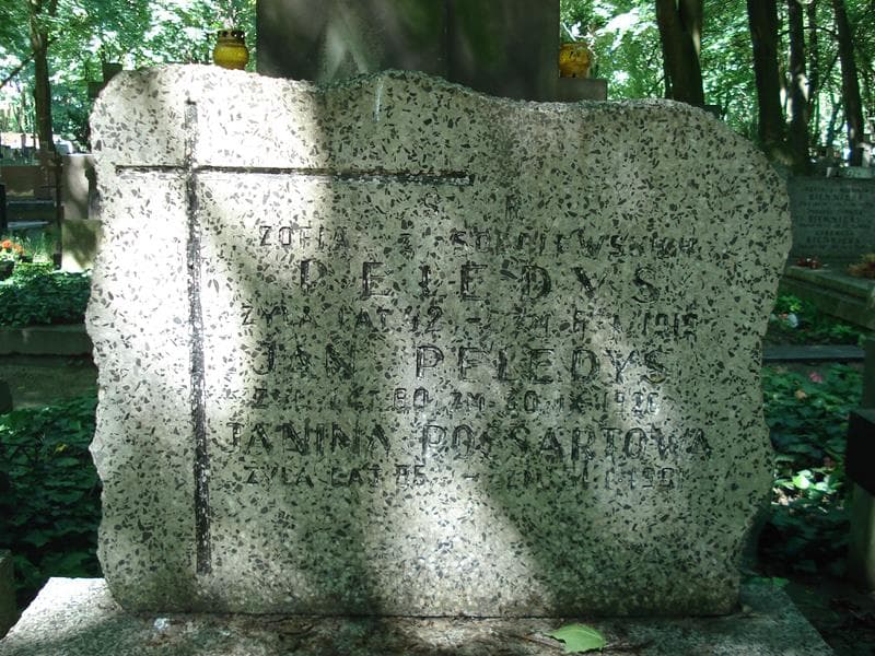 Zdjęcie grobu Zofia Peledys (1)