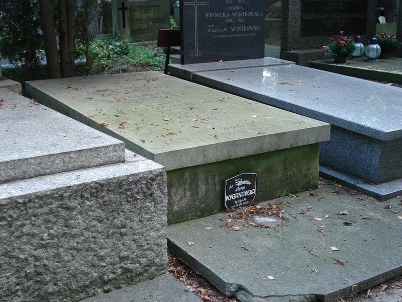 Zdjęcie grobu Maria Wyganowska (1)